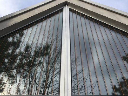 Die Vogelschutzfolie Opalfilm birdsafe von Haverkamp schützt vor Vogelschlag, wie hier beim Verwaltungsgebäude des Biosphärenreservats Mittelelbe.